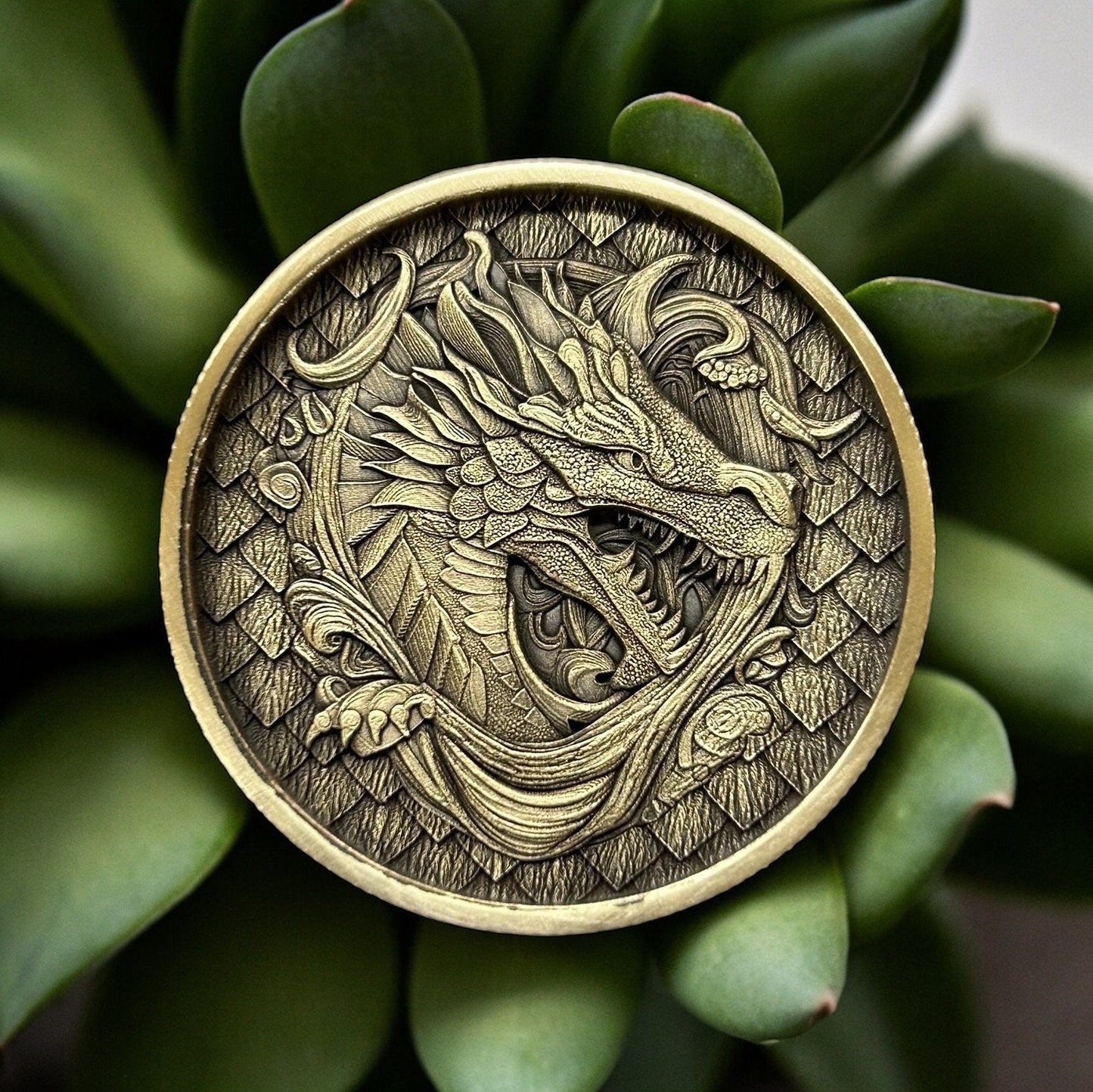 The Dragon Coin