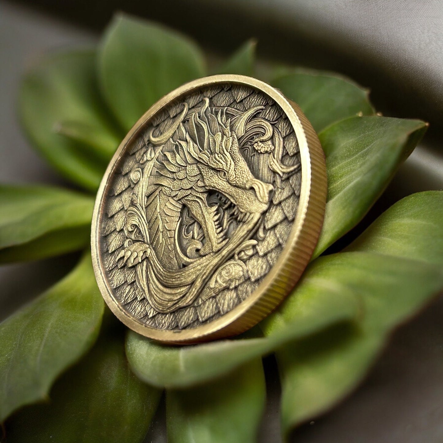 The Dragon Coin