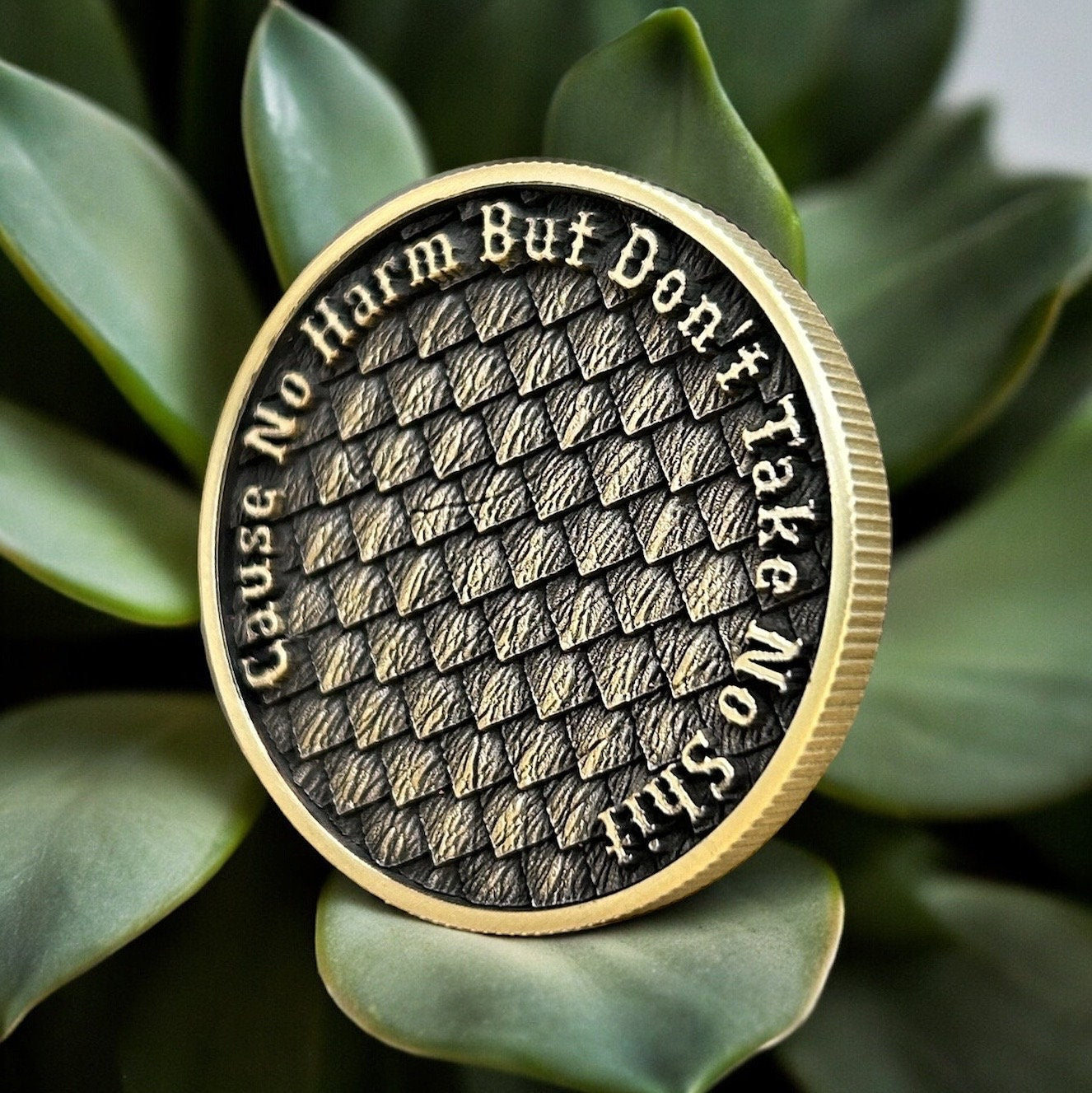 The Dragon Coin