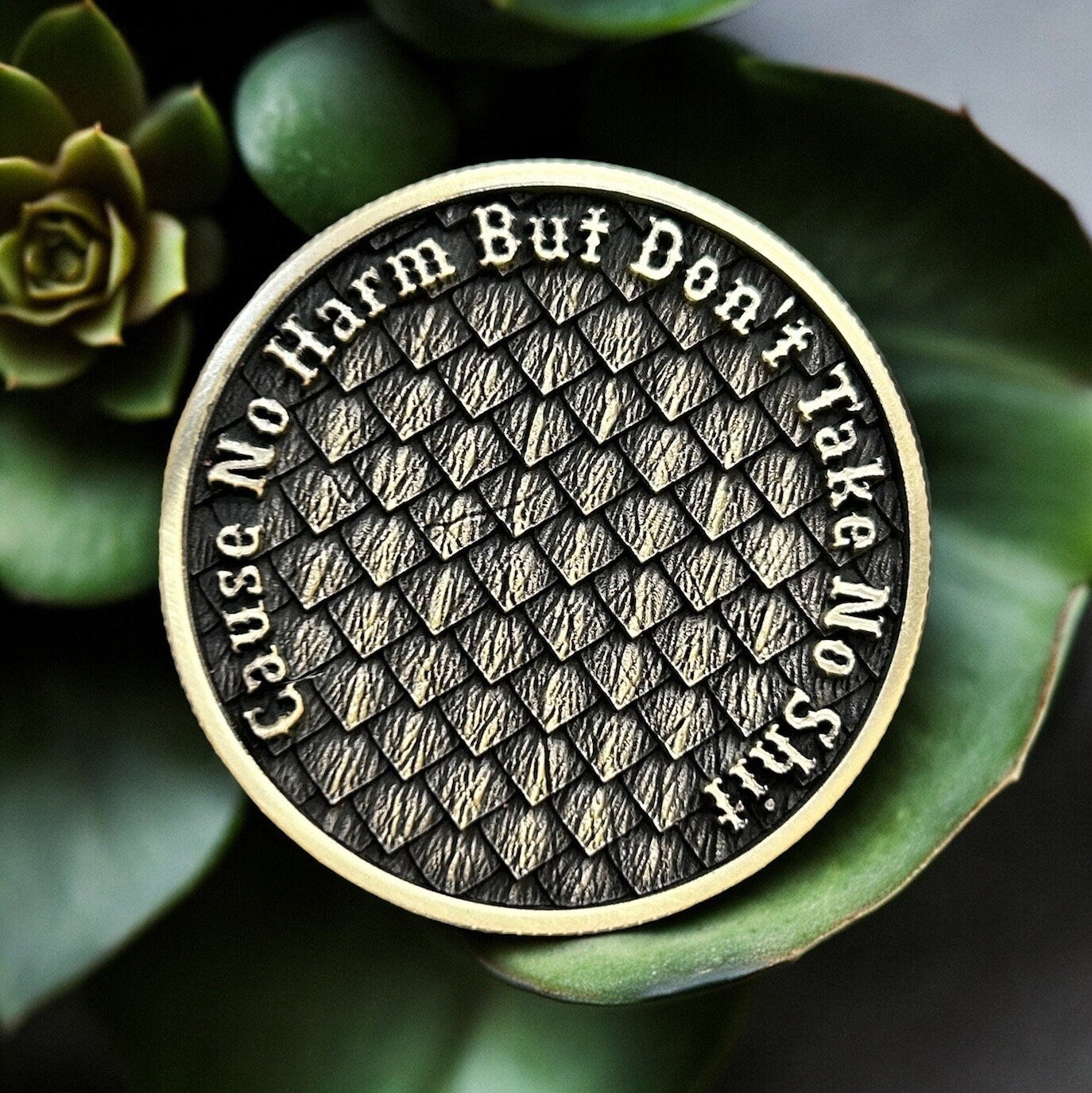 The Dragon Coin